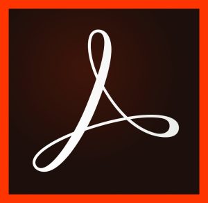 Adobe Acrobat Pro DC for teams ALL MLP Maroc